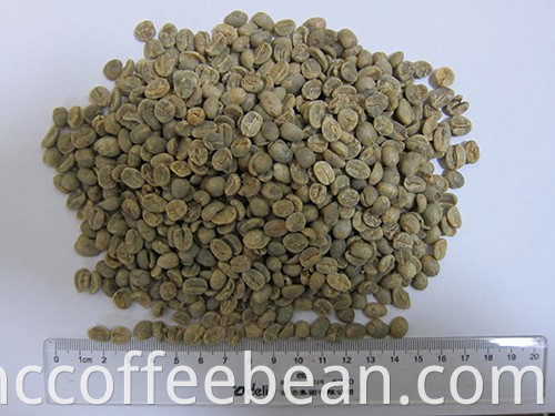 Granos de café verde crudo chino, 100% tipo arábica, embalaje de bolsas de yute
